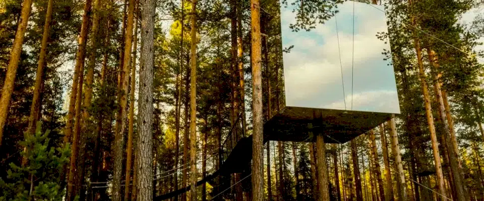 Seyahat Ettiğin Ülkenin Kültürüne Fransız Kalma!