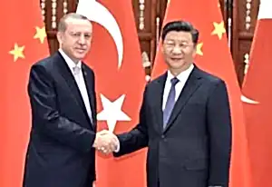 Ligarba Turizm Resmi Heyetler