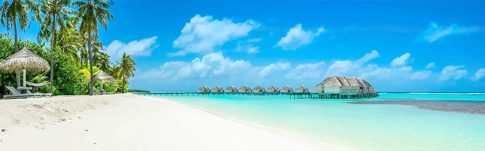 Otel Rezervasyonları