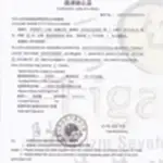 Ticari Çin Vizesi Davetiye Örneği İki Sayfa